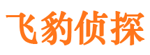 八宿市婚外情取证